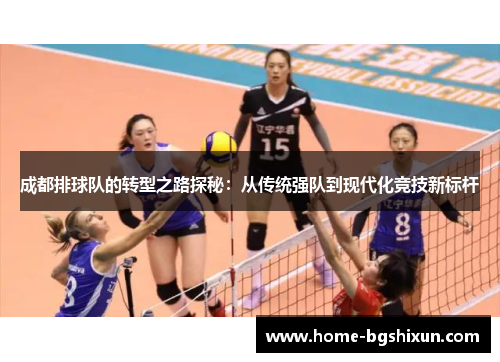 成都排球队的转型之路探秘：从传统强队到现代化竞技新标杆