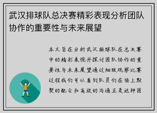 武汉排球队总决赛精彩表现分析团队协作的重要性与未来展望